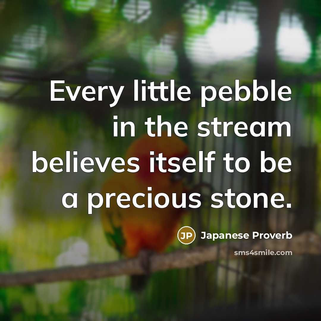 “Every little pebble in the stream believes itself to be…” quote by Japanese Proverb
