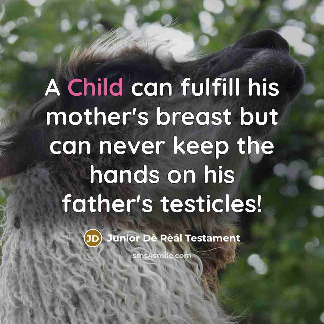 “A Child can fulfill his mother's breast but can never…” quote by Junior Dè Rèál Testament