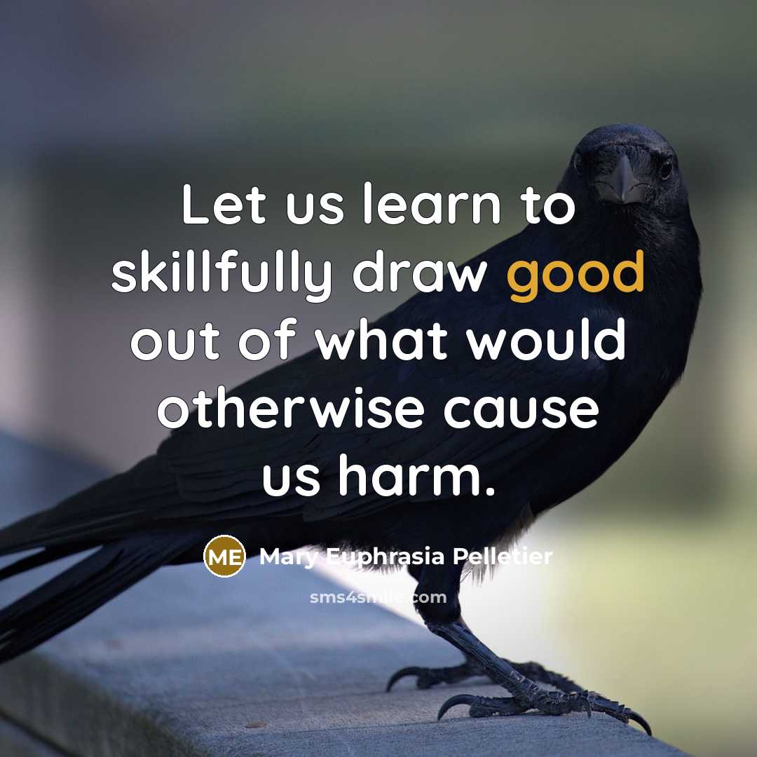 “Let us learn to skillfully draw good out of what…” quote by Mary Euphrasia Pelletier