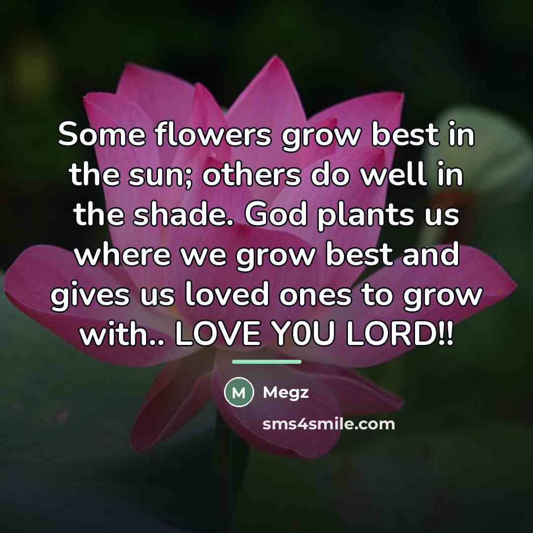 “Some flowers grow best in the sun; others do well…” quote by Megz