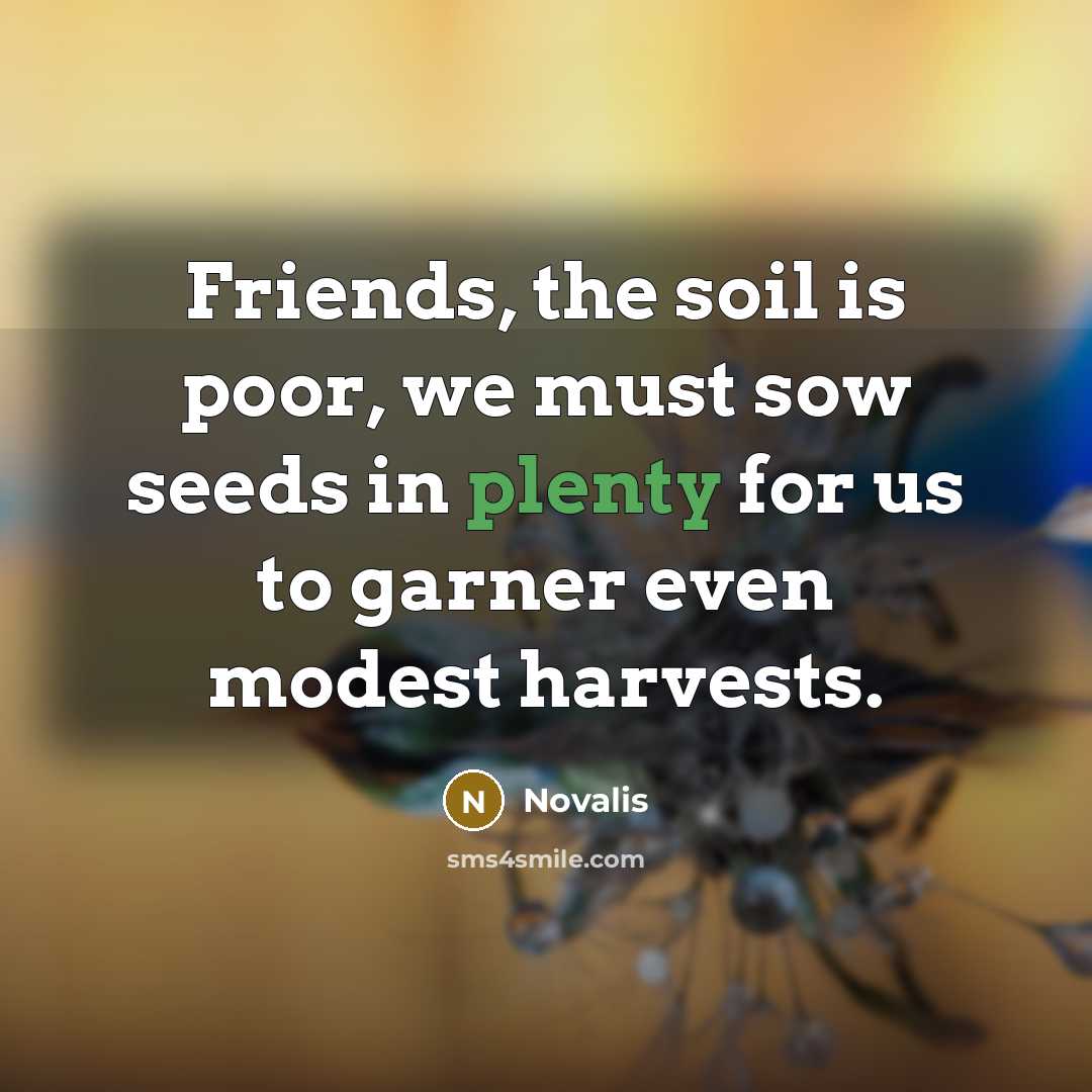 “Friends, the soil is poor, we must sow seeds in…” quote by Novalis