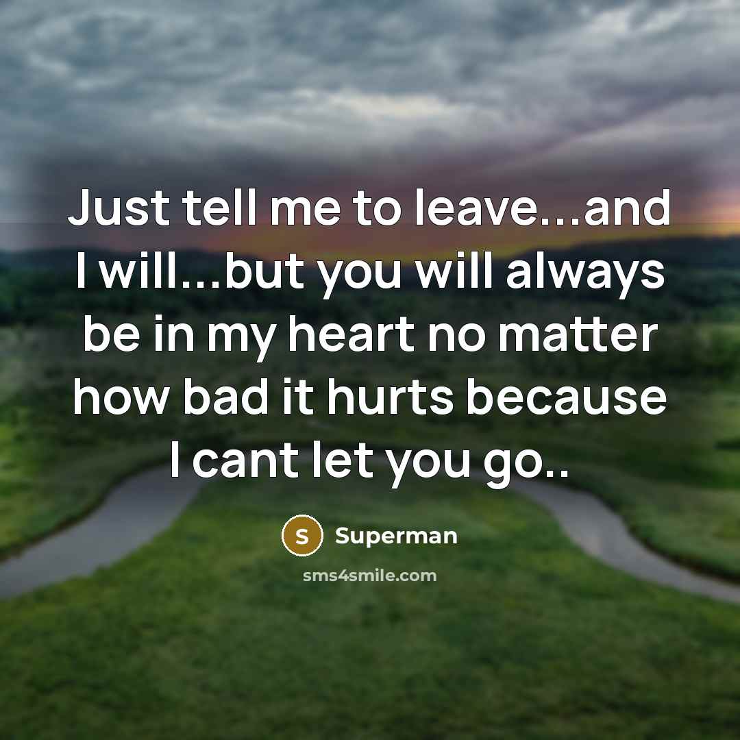 “Just tell me to leave...and I will...but you will always…” quote by Superman