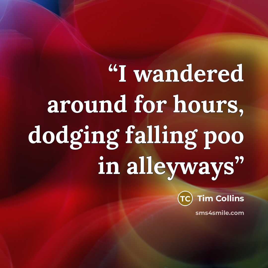 “I wandered around for hours, dodging falling poo in alleyways” quote by Tim Collins
