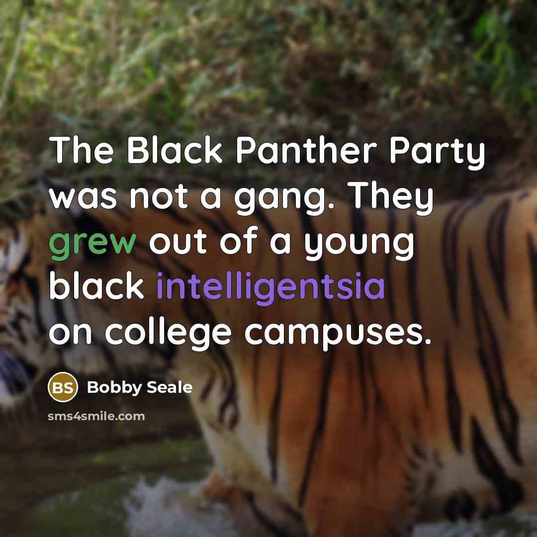 “The Black Panther Party was not a gang. They grew…” quote by Bobby Seale
