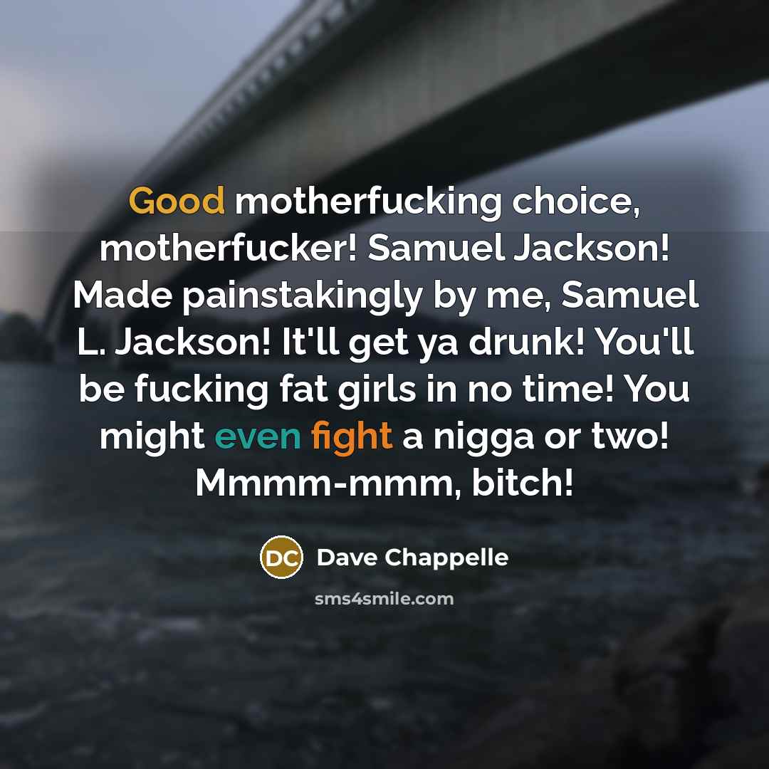 “Good motherfucking choice, motherfucker! Samuel Jackson! Made painstakingly by me,…” quote by Dave Chappelle