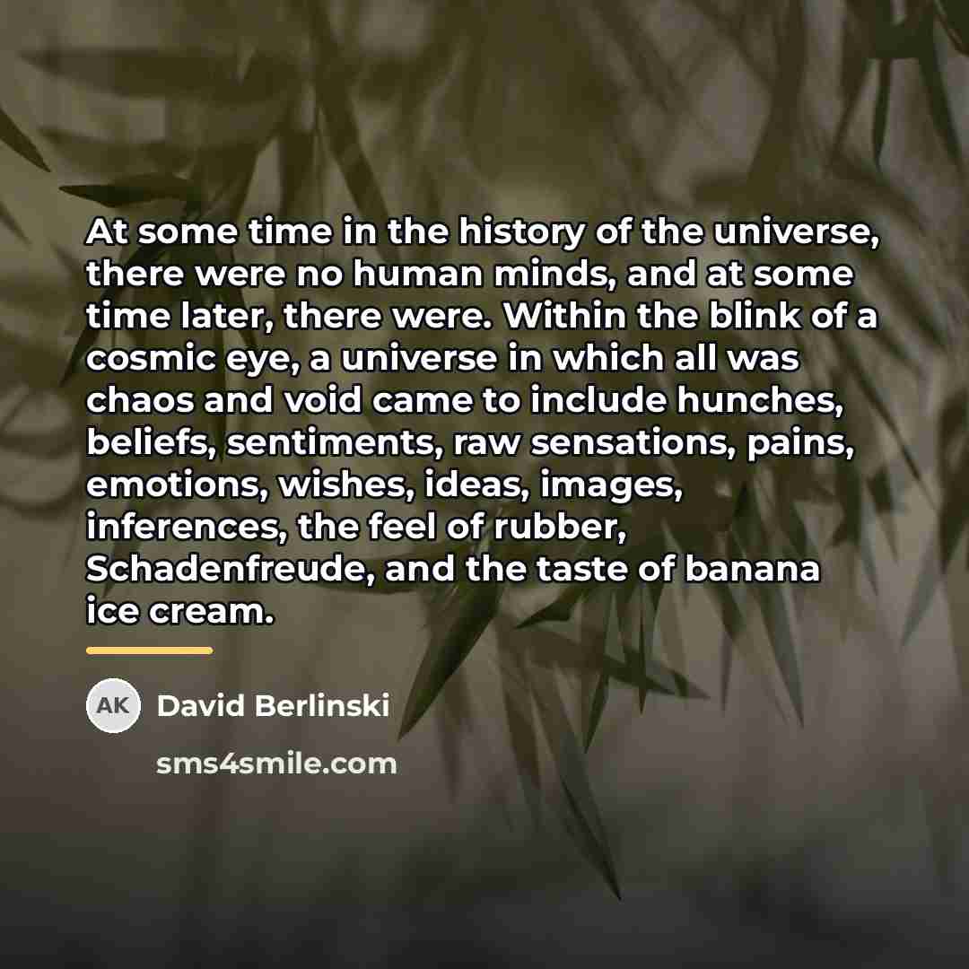 “At some time in the history of the universe, there…” quote by David Berlinski
