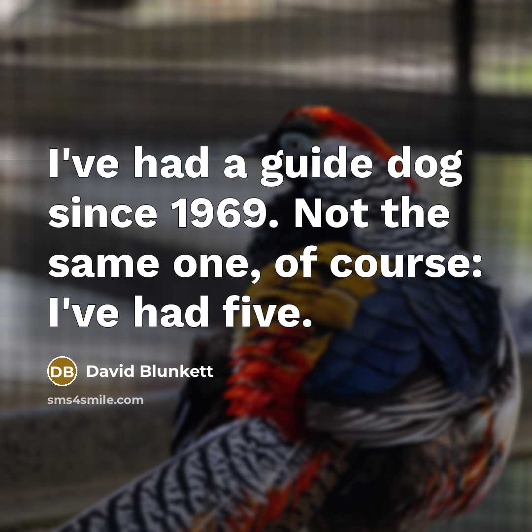 “I've had a guide dog since 1969. Not the same one, of course: I've had five.” quote by David Blunkett