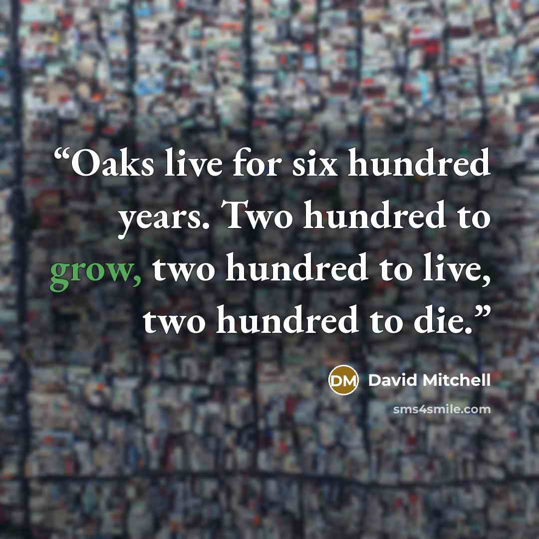 “Oaks live for six hundred years. Two hundred to grow, two hundred to live, two hundred to die.” quote by David Mitchell