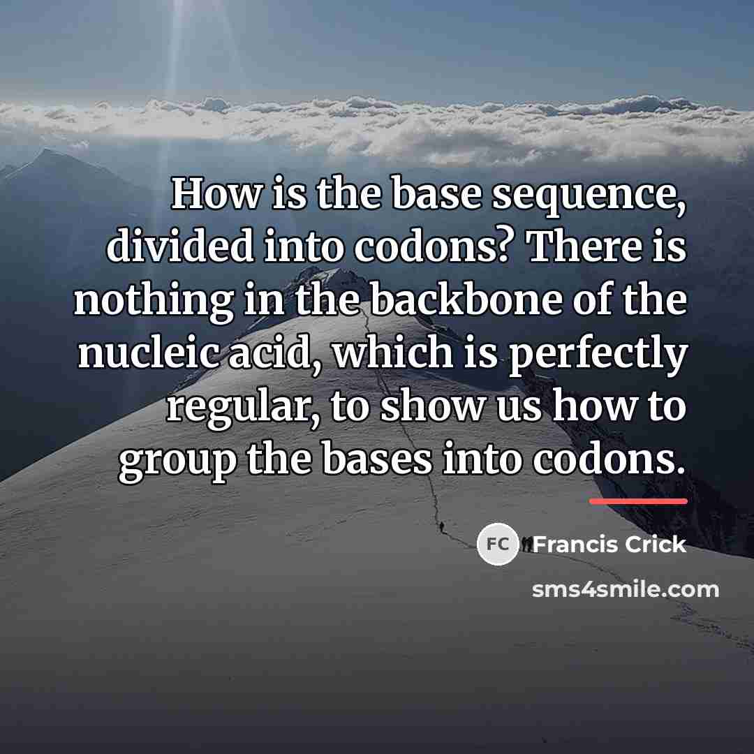 “How is the base sequence, divided into codons? There is…” quote by Francis Crick