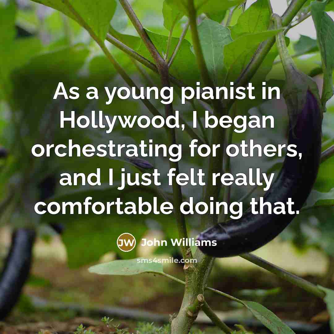 “As a young pianist in Hollywood, I began orchestrating for…” quote by John Williams