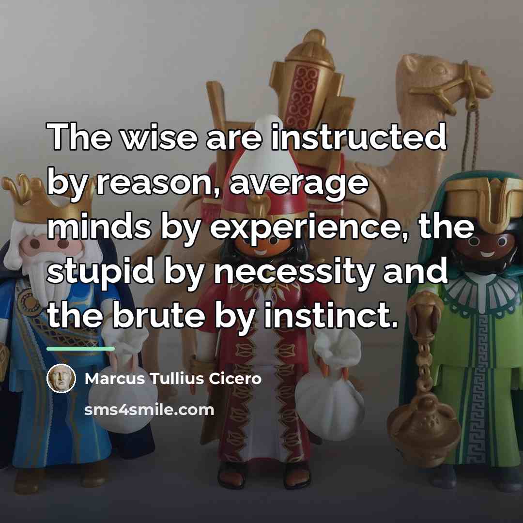 “The wise are instructed by reason, average minds by experience,…” quote by Marcus Tullius Cicero