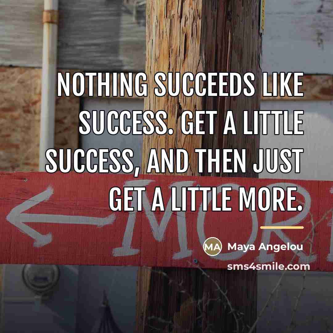 “Nothing succeeds like success. Get a little success, and then…” quote by Maya Angelou
