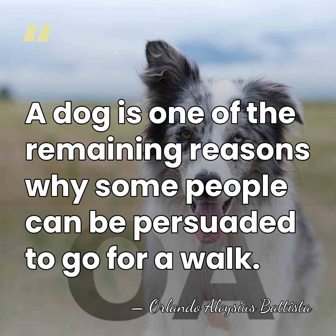 A dog is one of the remaining reasons why some people can&hellip; - Orlando Aloysius Battista
