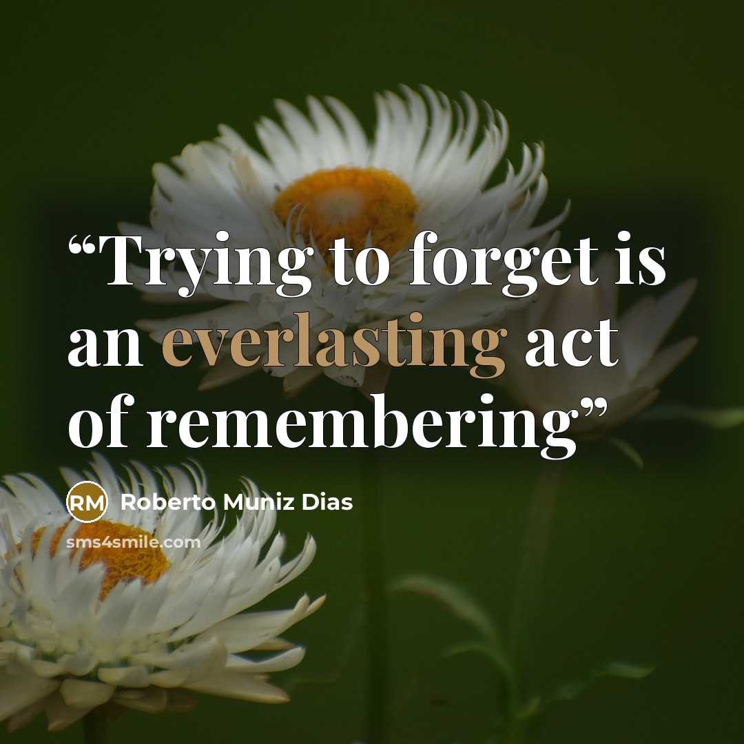 “Trying to forget is an everlasting act of remembering” quote by Roberto Muniz Dias