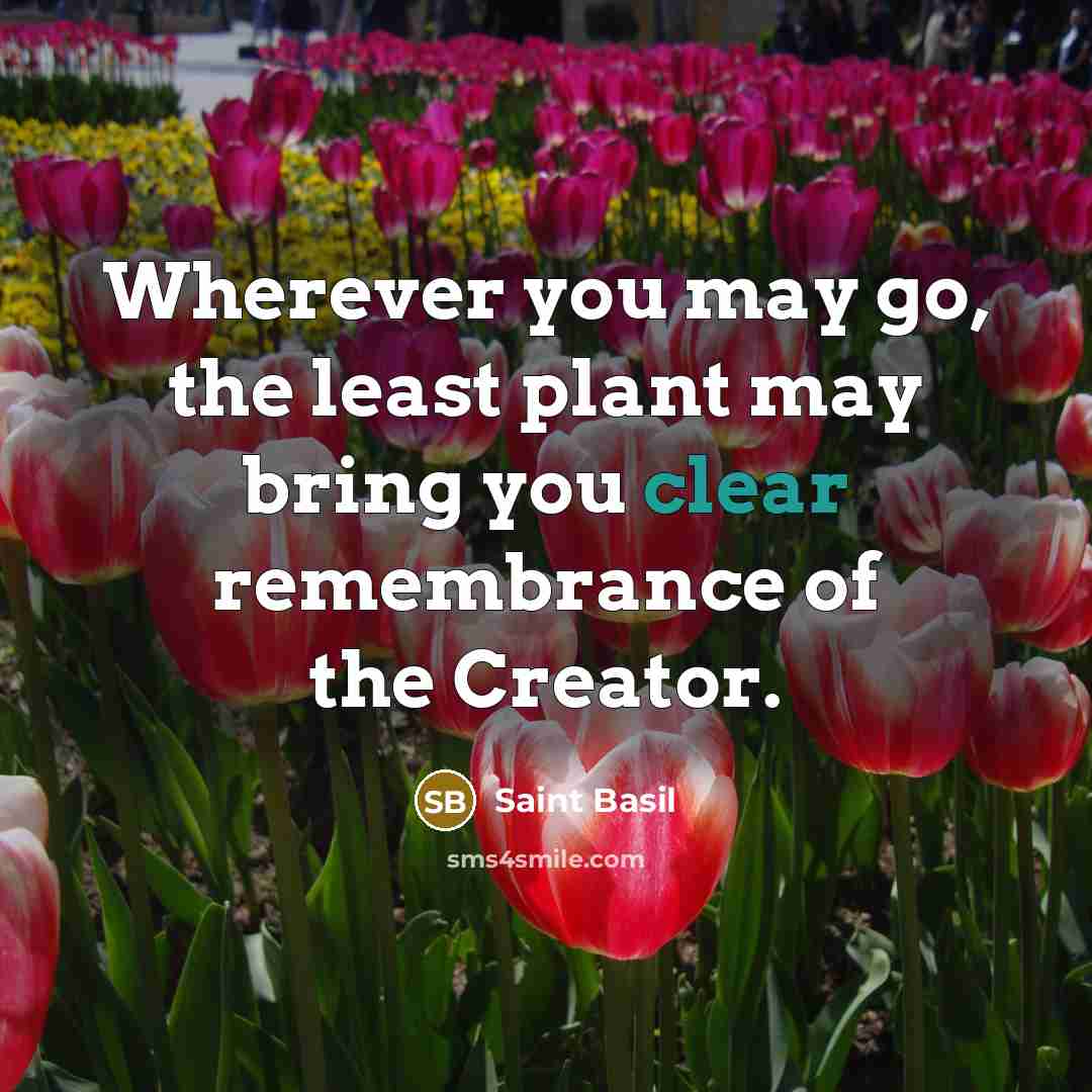 “Wherever you may go, the least plant may bring you…” quote by Saint Basil