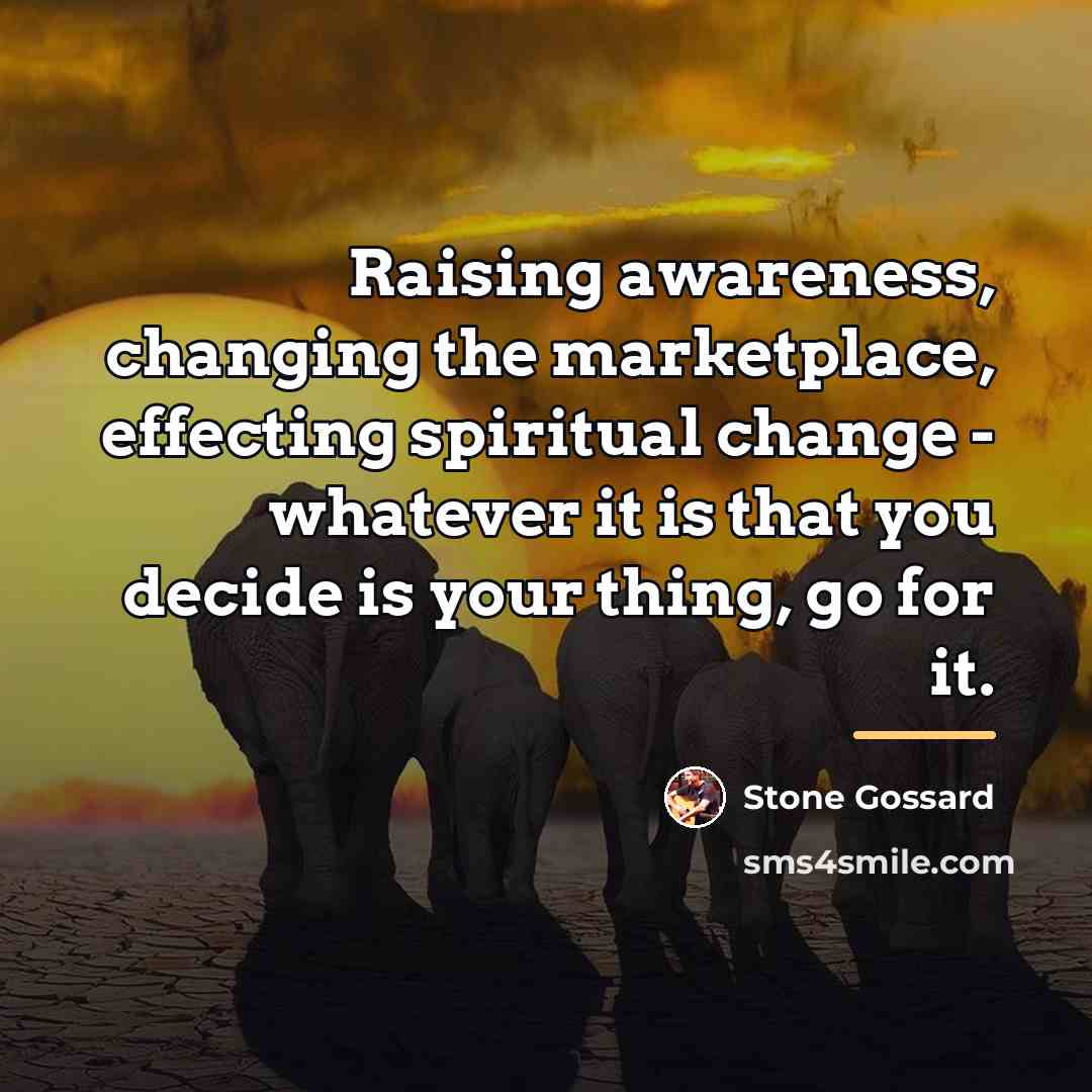 “Raising awareness, changing the marketplace, effecting spiritual change - whatever…” quote by Stone Gossard