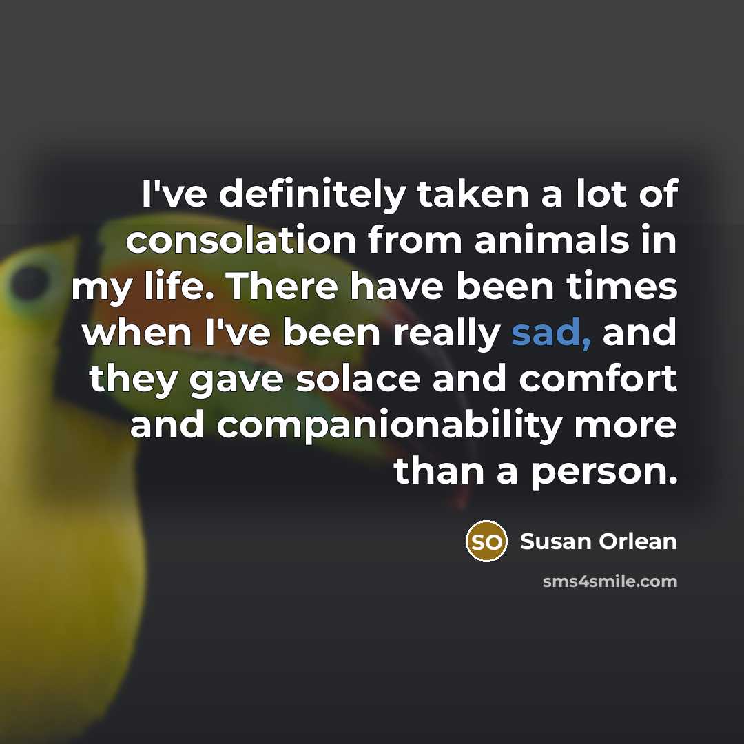 “I've definitely taken a lot of consolation from animals in…” quote by Susan Orlean