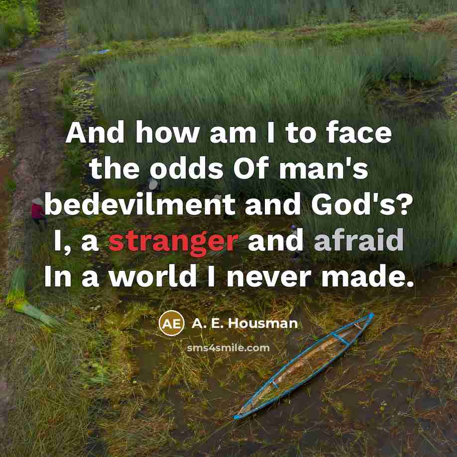 “And how am I to face the odds Of man's bedevilment and God's? I, a stranger and afraid In a world I never made.” quote by A. E. Housman