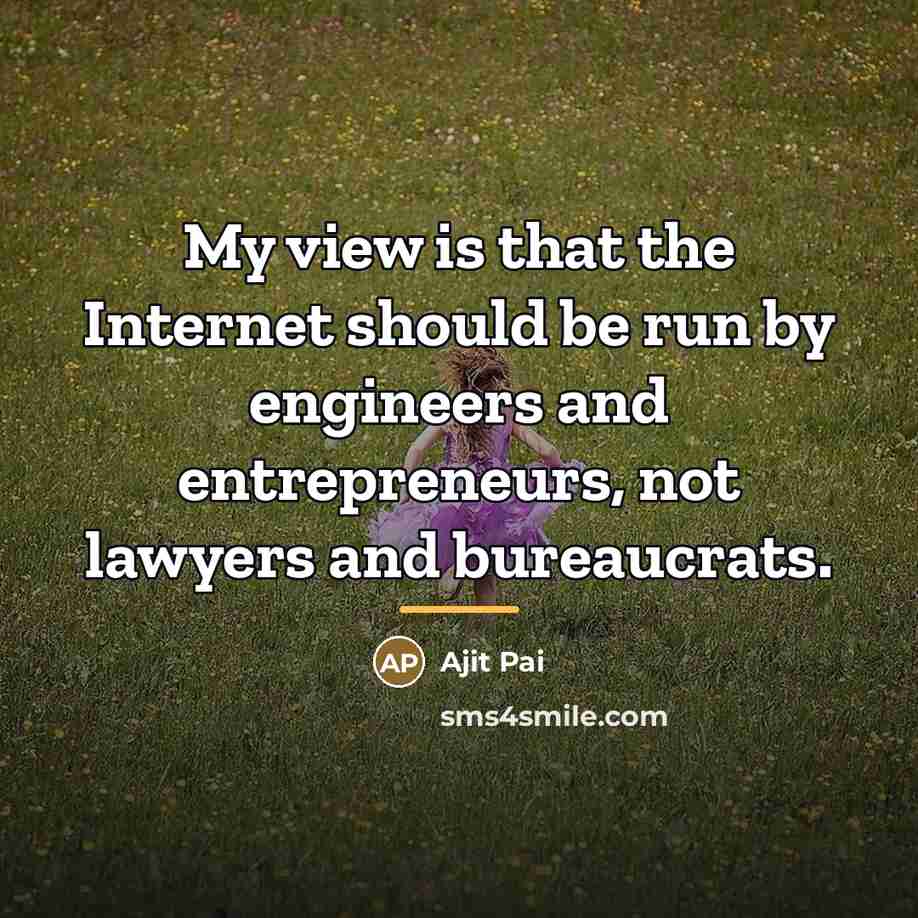 “My view is that the Internet should be run by…” quote by Ajit Pai