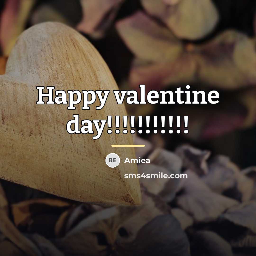 “Happy valentine day!!!!!!!!!!!…” quote by Amiea