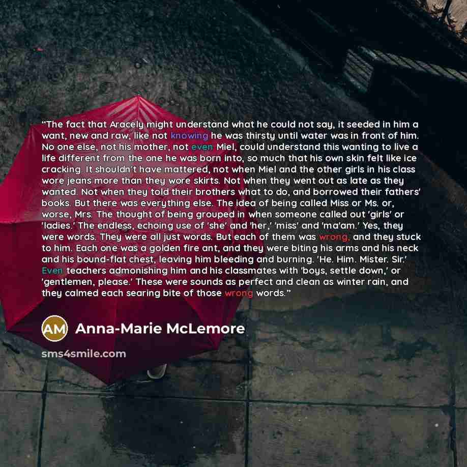 “The fact that Aracely might understand what he could not say, it seeded in him a want, new and raw, like not knowing he was thirsty until water was in front of him. No one else, not his mother, not even Miel, could understand this wanting to live a life different from the one he was born into, so…” quote by Anna-Marie McLemore