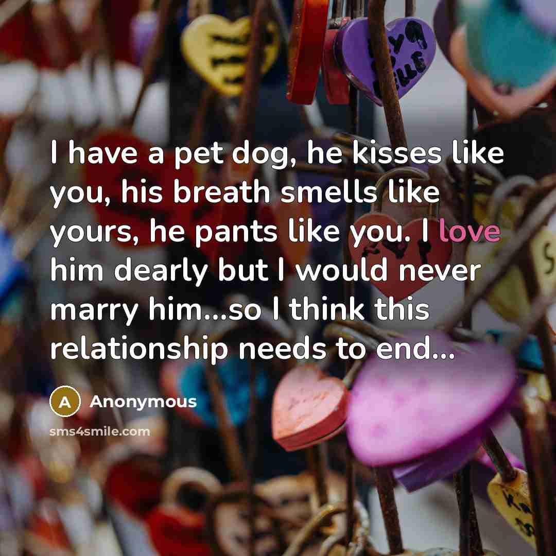 “I have a pet dog, he kisses like you, his…” quote by Anonymous