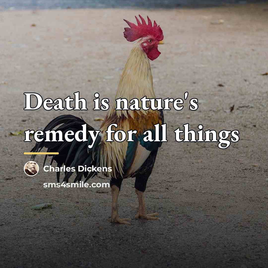“Death is nature's remedy for all things…” quote by Charles Dickens