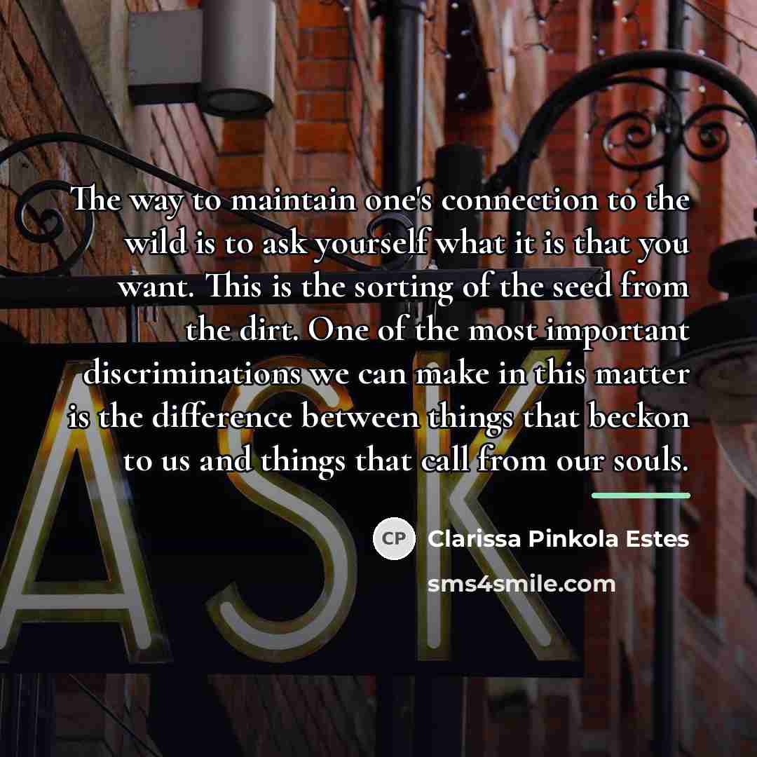 “The way to maintain one's connection to the wild is…” quote by Clarissa Pinkola Estes