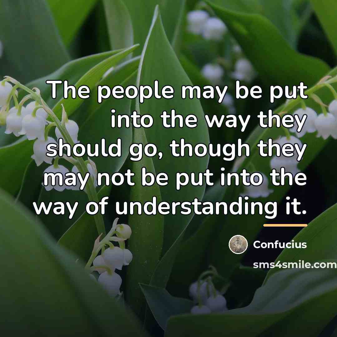 “The people may be put into the way they should…” quote by Confucius