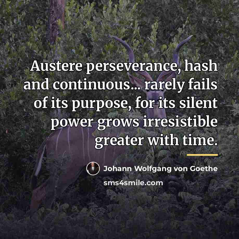“Austere perseverance, hash and continuous... rarely fails of its purpose,…” quote by Johann Wolfgang von Goethe