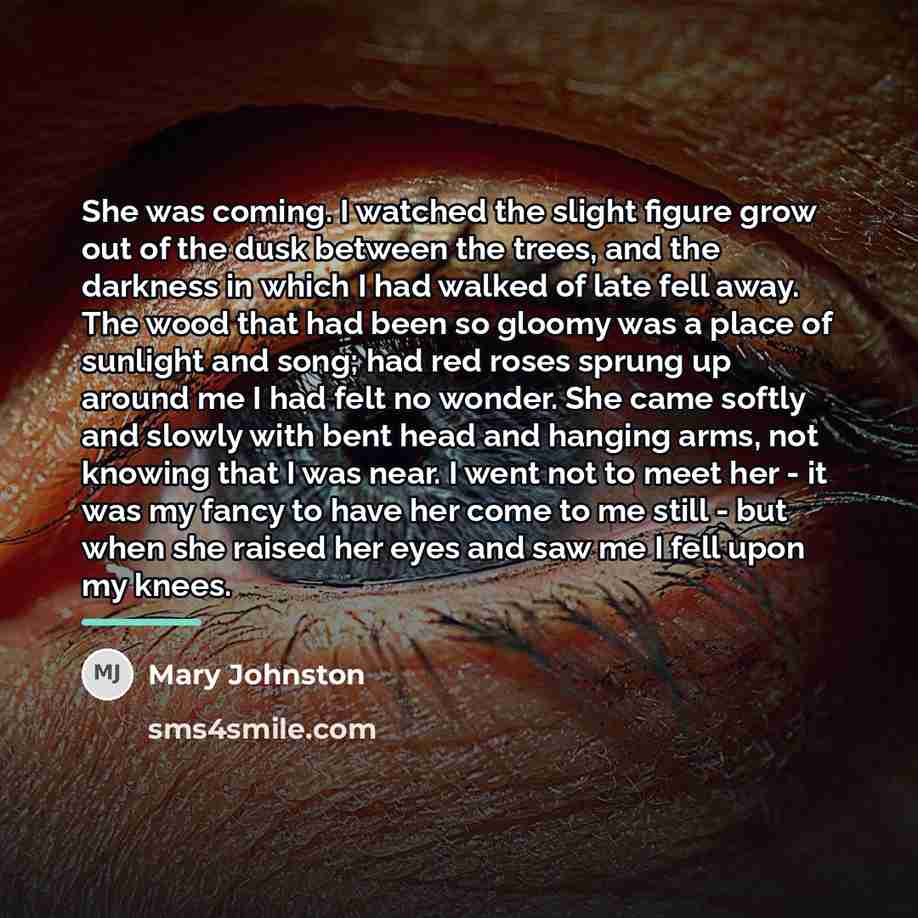 “She was coming. I watched the slight figure grow out…” quote by Mary Johnston
