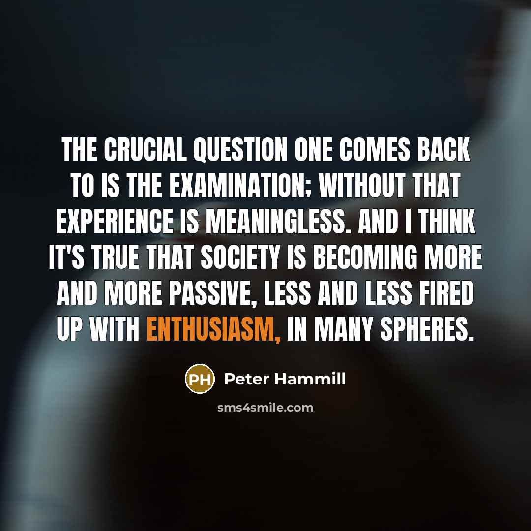“The crucial question one comes back to is the examination;…” quote by Peter Hammill