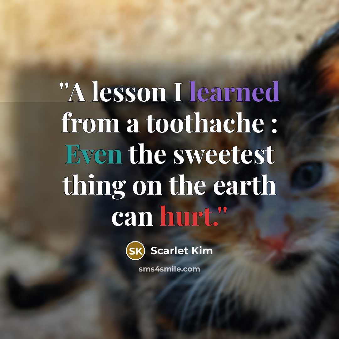 “''A lesson I learned from a toothache : Even the…” quote by Scarlet Kim