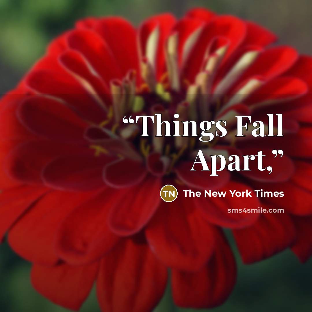 “Things Fall Apart,” quote by The New York Times
