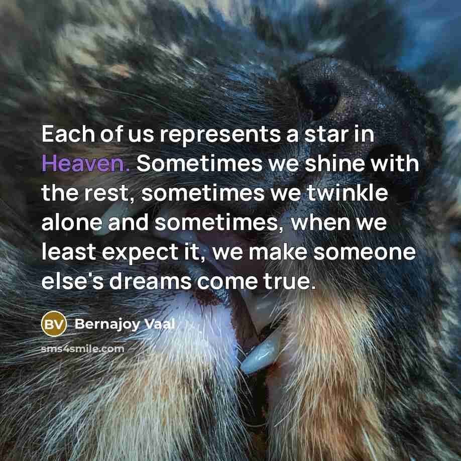 “Each of us represents a star in Heaven. Sometimes we…” quote by Bernajoy Vaal