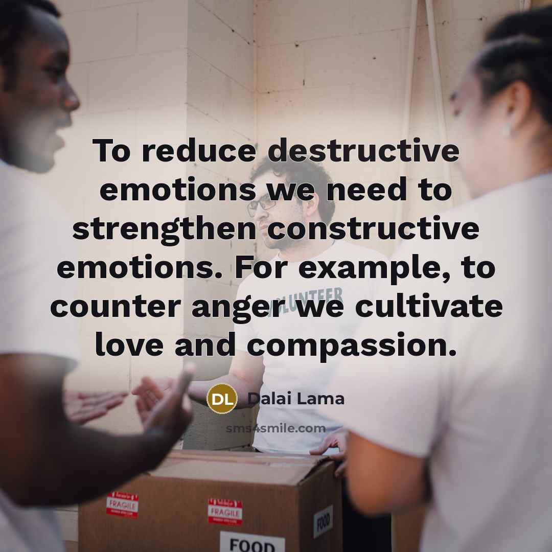 “To reduce destructive emotions we need to strengthen constructive emotions.…” quote by Dalai Lama