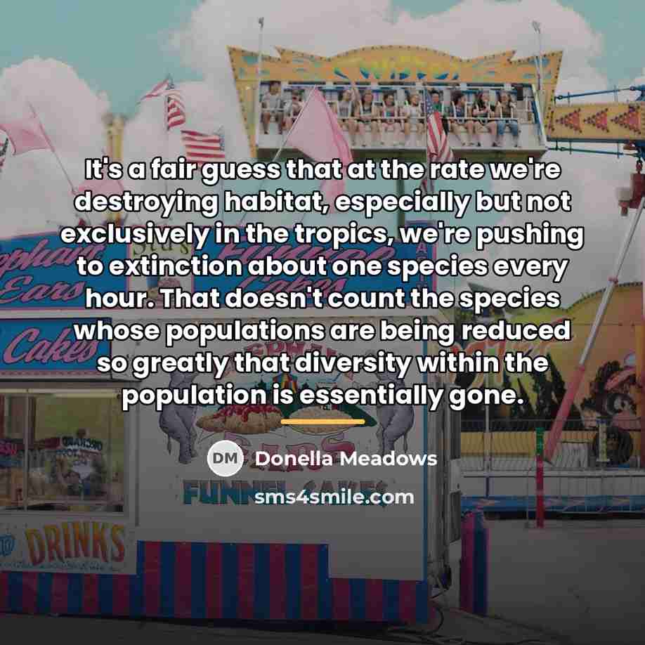 “It's a fair guess that at the rate we're destroying…” quote by Donella Meadows