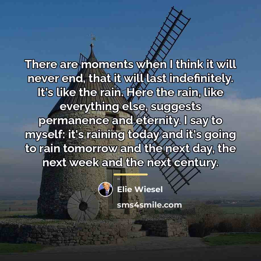 “There are moments when I think it will never end,…” quote by Elie Wiesel