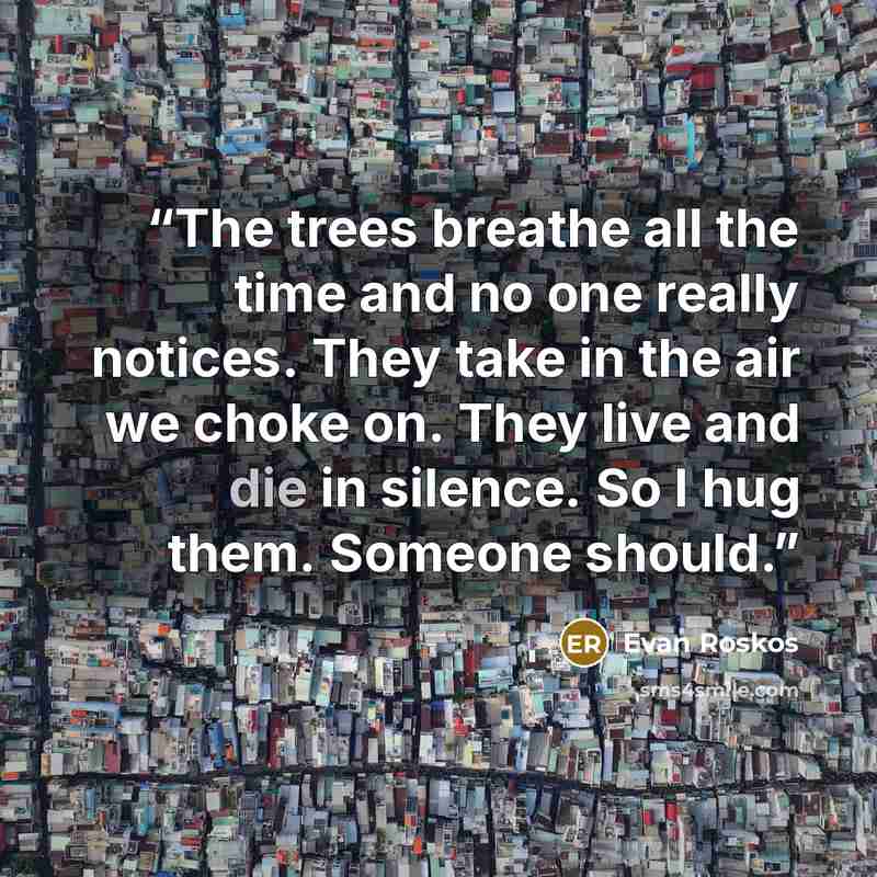 “The trees breathe all the time and no one really notices. They take in the air we choke on. They live and die in silence. So I hug them. Someone should.” quote by Evan Roskos