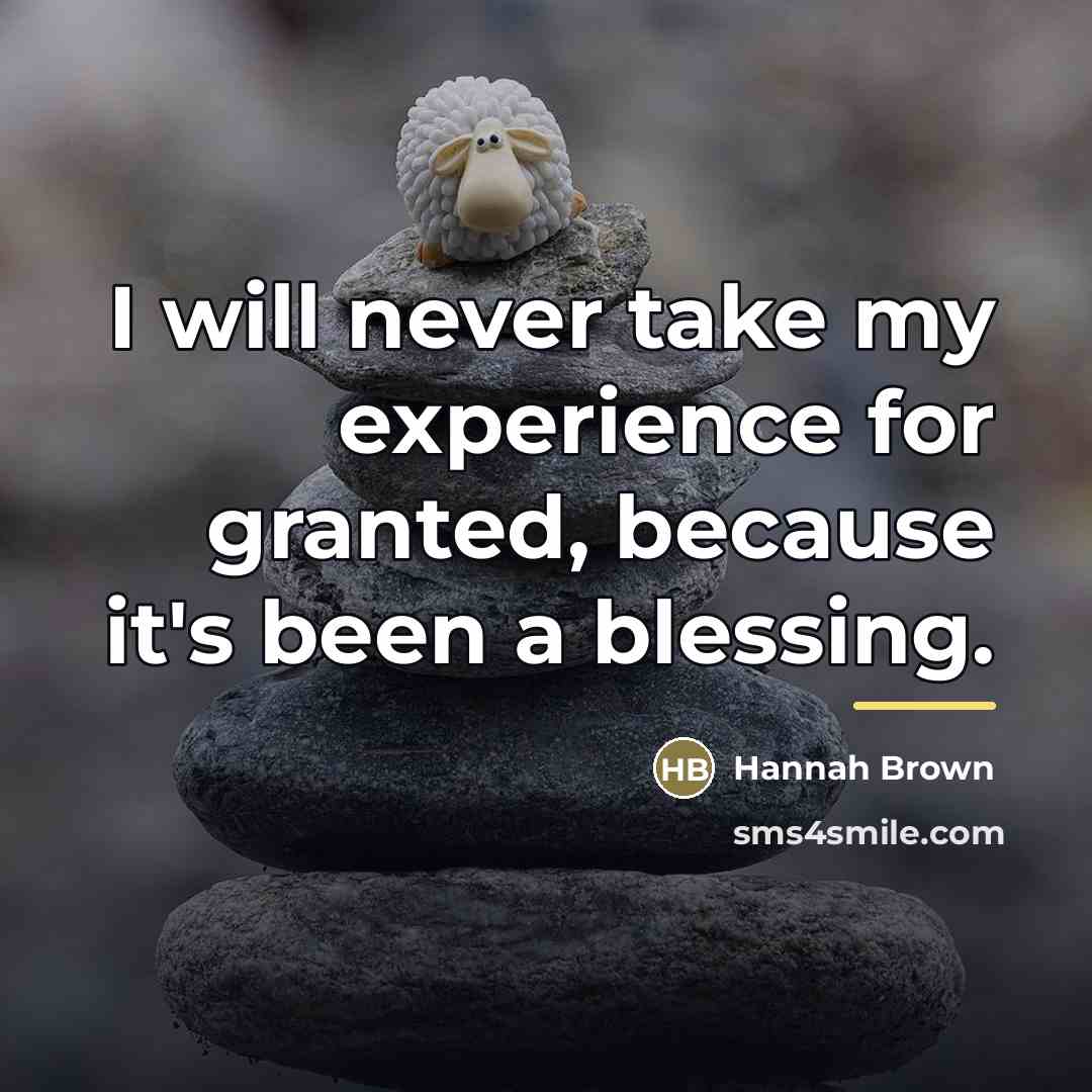 “I will never take my experience for granted, because it's…” quote by Hannah Brown