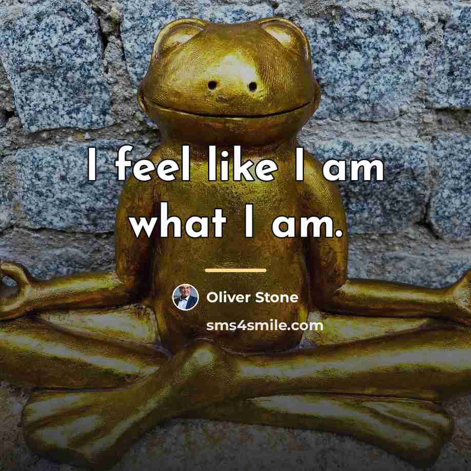 “I feel like I am what I am.…” quote by Oliver Stone