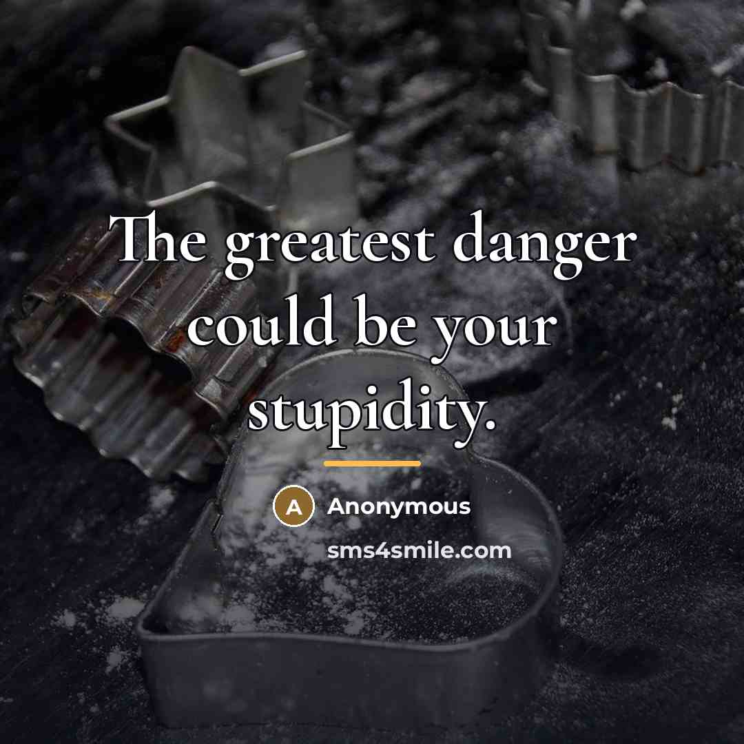 “The greatest danger could be your stupidity.…” quote by Anonymous