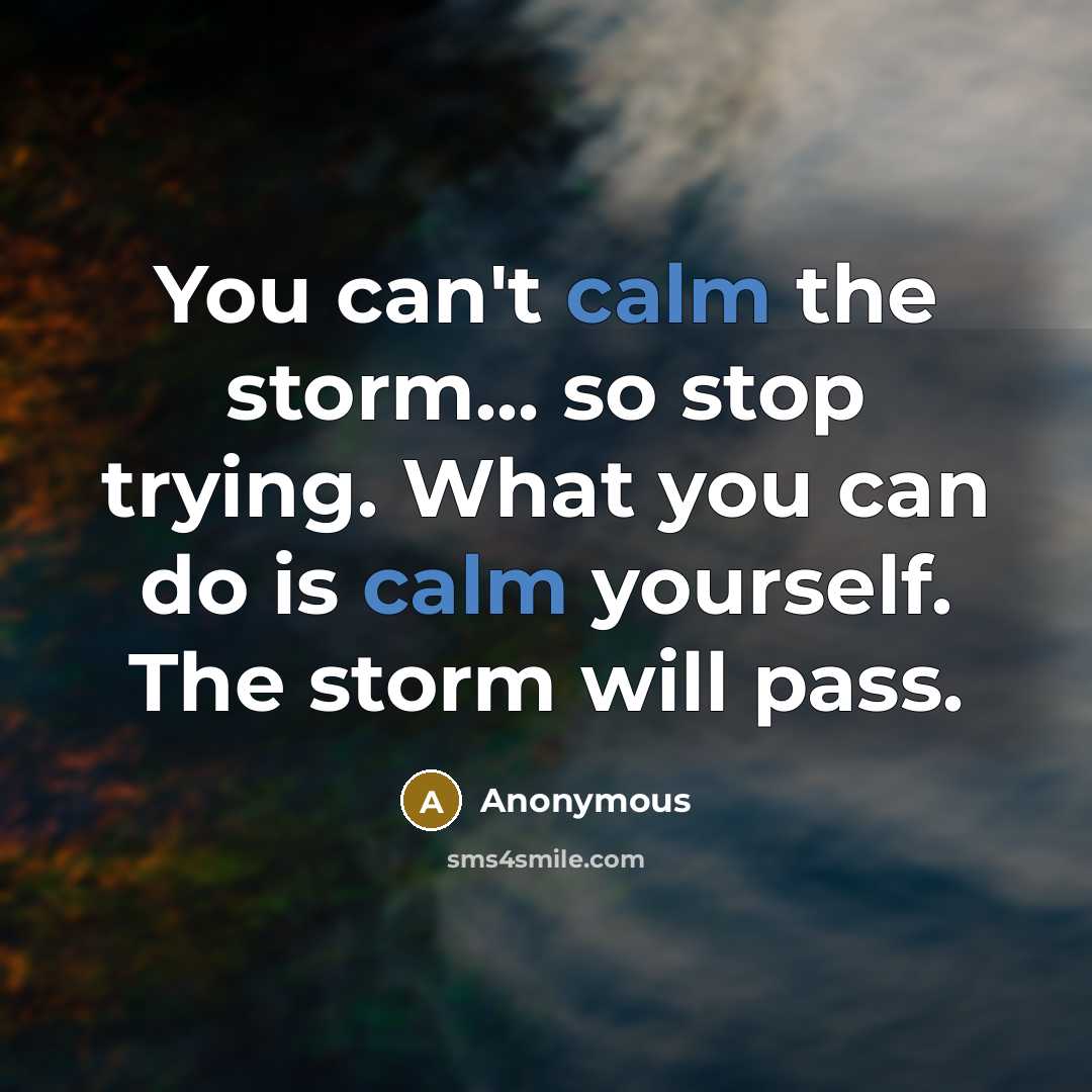 “You can't calm the storm... so stop trying. What you…” quote by Anonymous