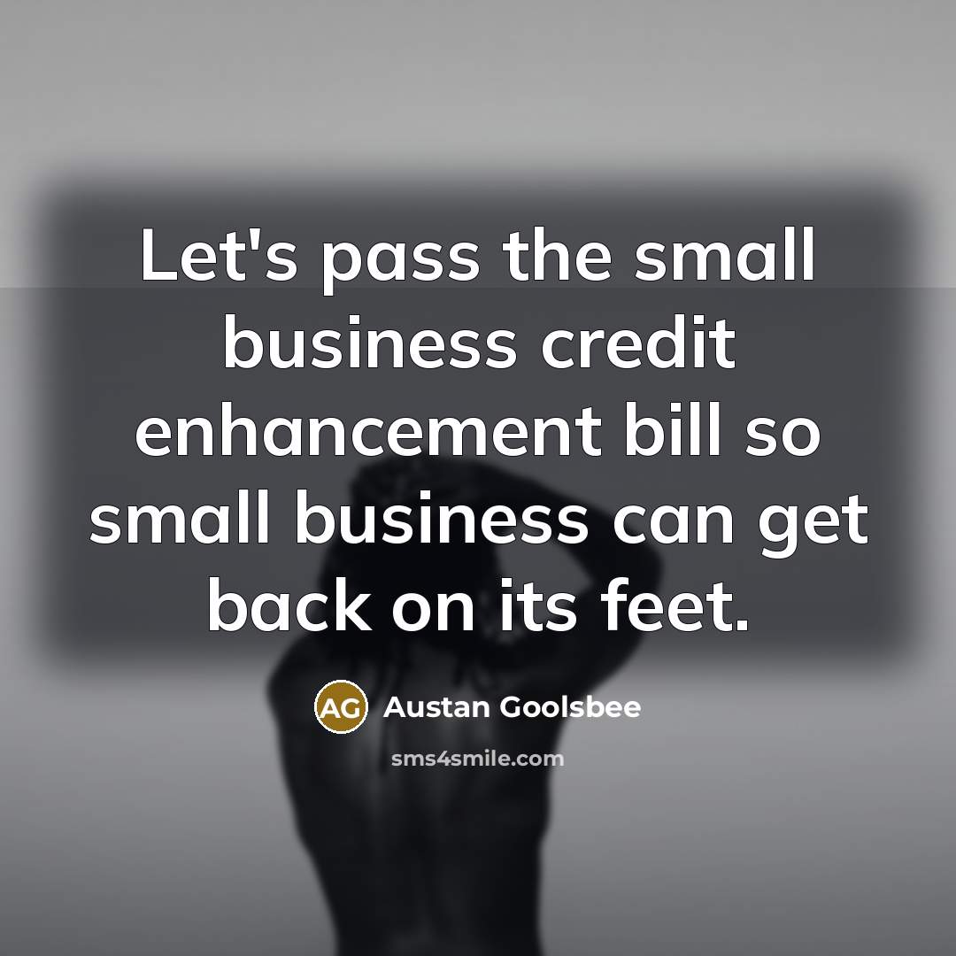 “Let's pass the small business credit enhancement bill so small…” quote by Austan Goolsbee
