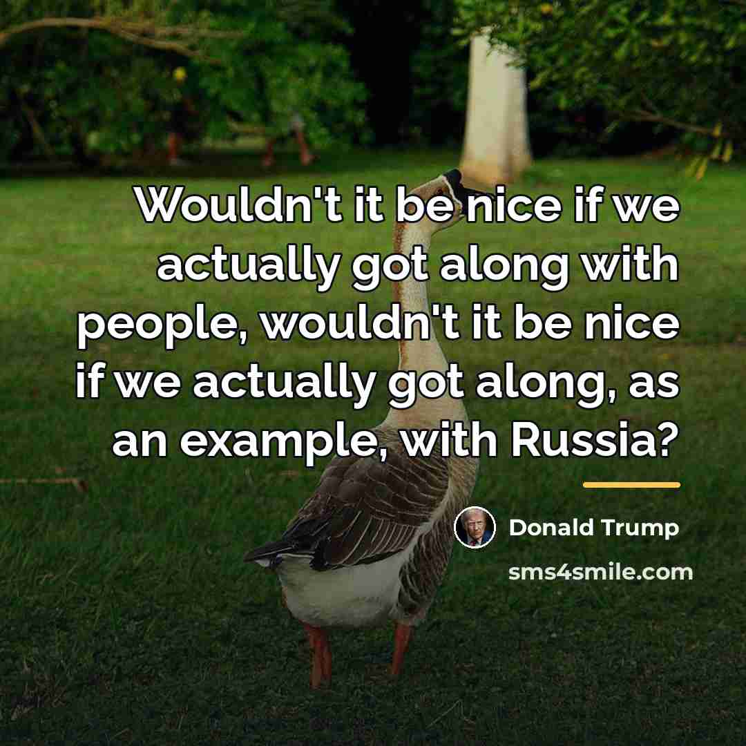 “Wouldn't it be nice if we actually got along with…” quote by Donald Trump