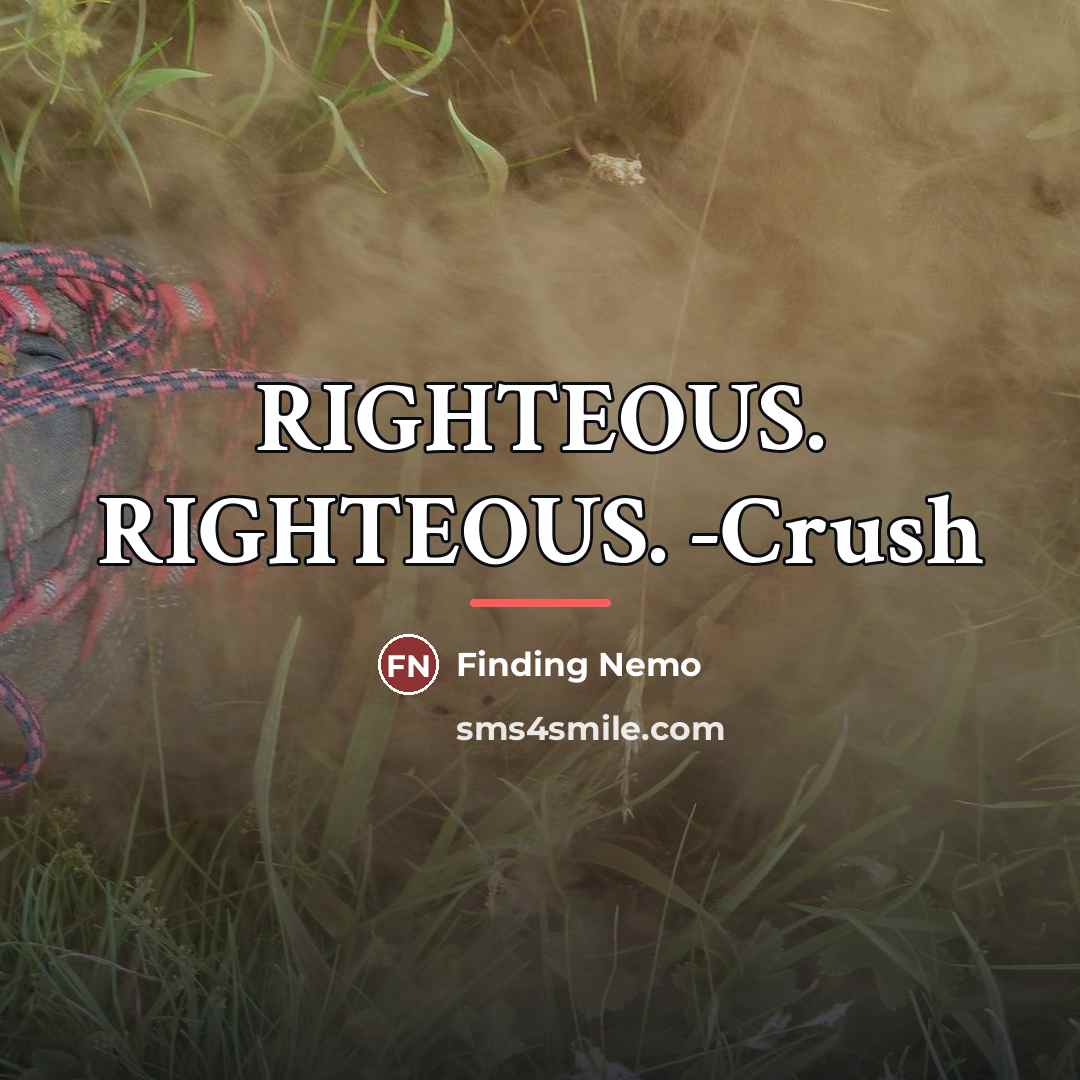 “RIGHTEOUS. RIGHTEOUS. -Crush…” quote by Finding Nemo