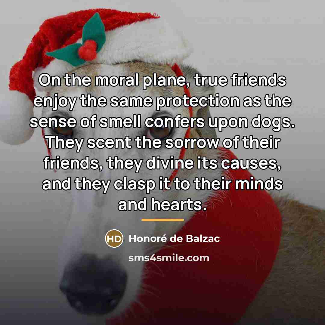 “On the moral plane, true friends enjoy the same protection…” quote by Honore de Balzac
