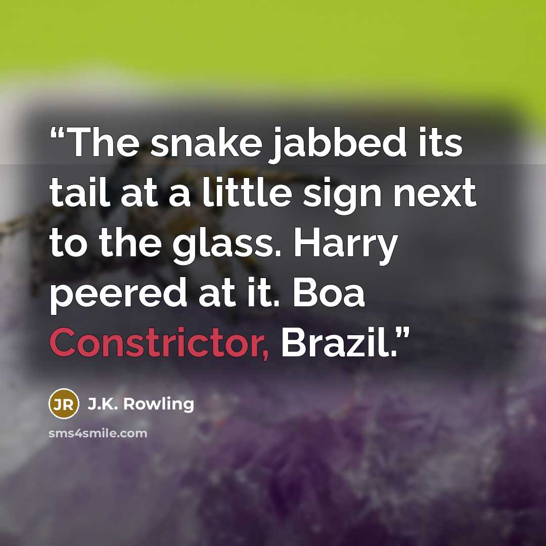 “The snake jabbed its tail at a little sign next to the glass. Harry peered at it. Boa Constrictor, Brazil.” quote by J.K. Rowling