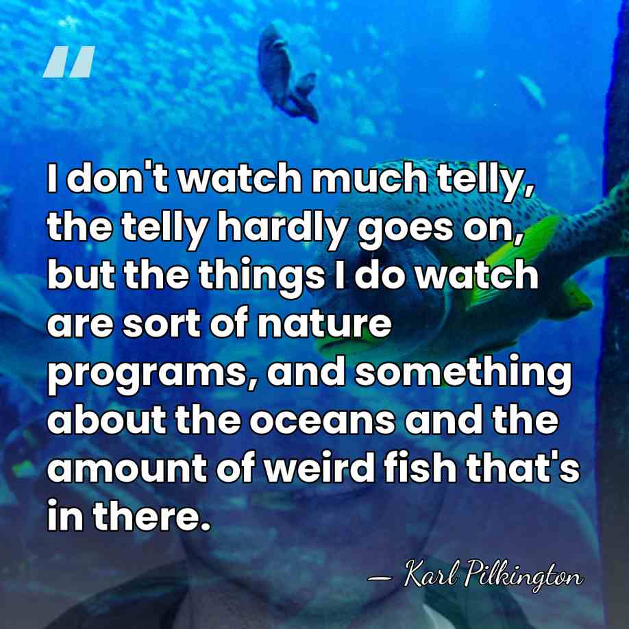 I don't watch much telly, the telly hardly goes on, but the&hellip; - Karl Pilkington