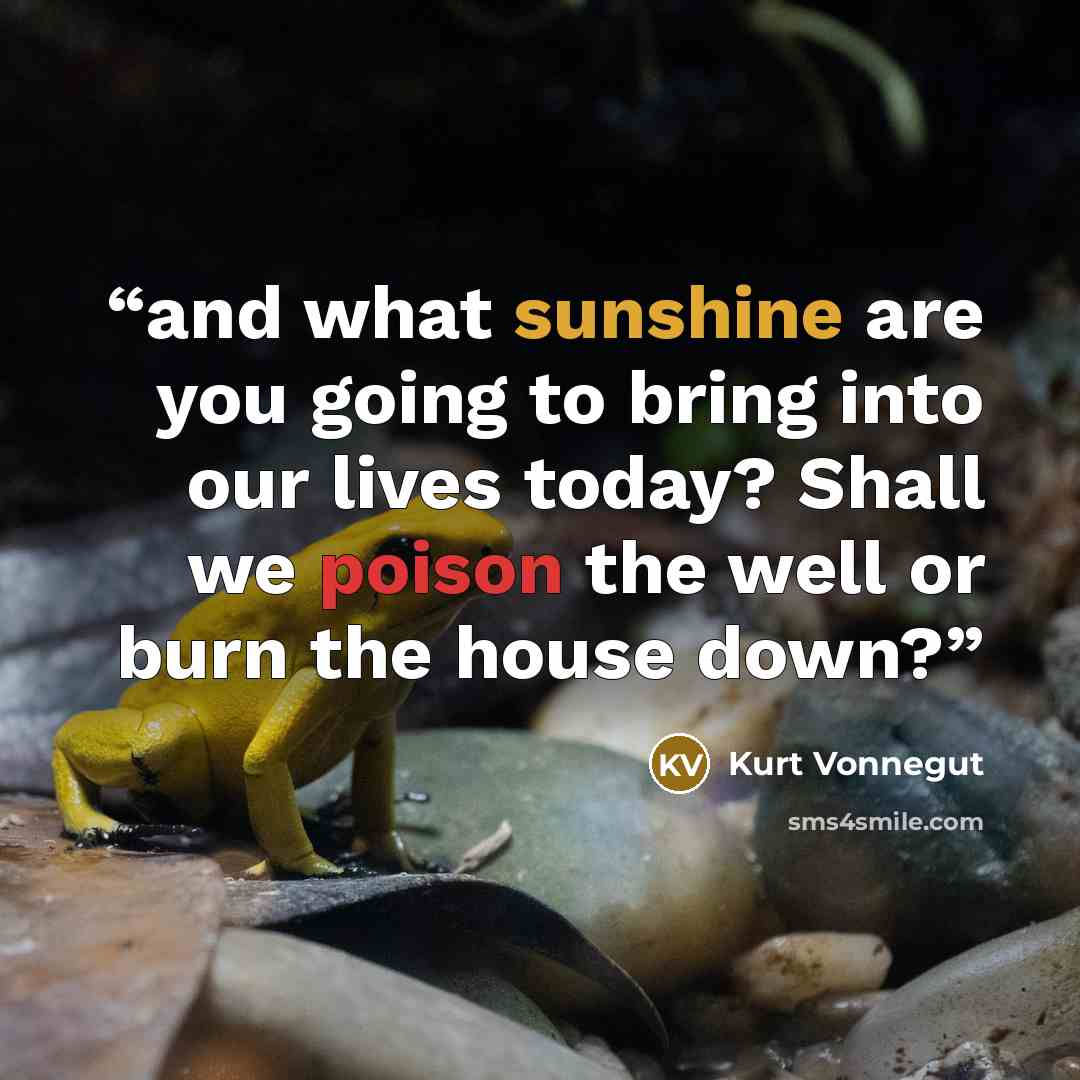 “and what sunshine are you going to bring into our lives today? Shall we poison the well or burn the house down?” quote by Kurt Vonnegut